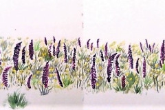 Carnets-de-voyage-aquarelle-2021-202226-2