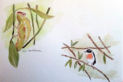 Carnets-de-voyage-aquarelle-2021-202230