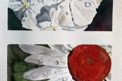 Aquarelle-2022-20230101