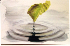 Aquarelle-2022-20230108