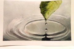 Aquarelle-2022-20230112