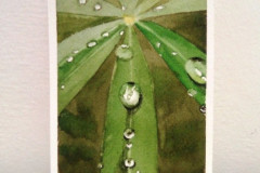 Aquarelle-2022-20230113