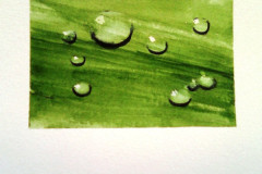 Aquarelle-2022-20230115