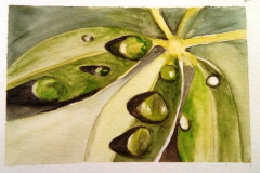 Aquarelle-2022-20230116