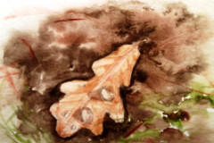 Aquarelle-2022-20230117