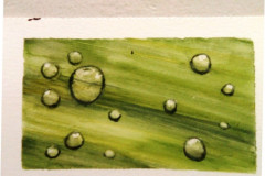 Aquarelle-2022-20230118