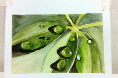 Aquarelle-2022-20230119