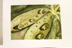 Aquarelle-2022-20230126