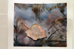 Aquarelle-2022-20230127