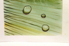 Aquarelle-2022-20230134