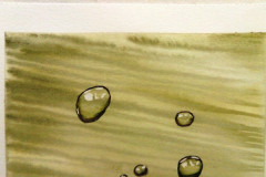Aquarelle-2022-20230135