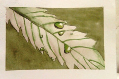 Aquarelle-2022-20230136