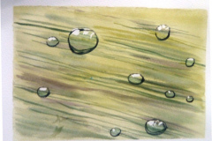 Aquarelle-2022-20230138