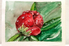 Aquarelle-2022-20230140