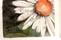 Aquarelle-2022-20230141