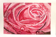 Aquarelle-2022-20230142