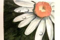 Aquarelle-2022-20230143