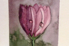 Aquarelle-2022-20230145