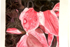 Aquarelle-2022-20230147