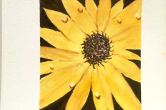 Aquarelle-2022-20230150