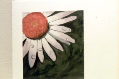 Aquarelle-2022-20230151