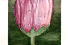 Aquarelle-2022-20230153