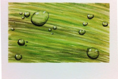 Aquarelle-2022-20230154
