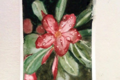 Aquarelle-2022-20230155