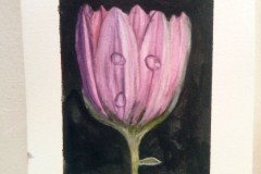 Aquarelle-2022-20230156
