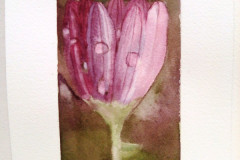 Aquarelle-2022-20230158