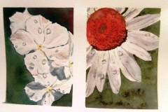 Aquarelle-2022-202302