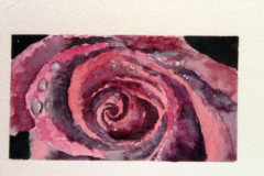 Aquarelle-2022-202303