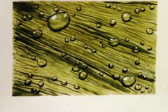 Aquarelle-2022-202304