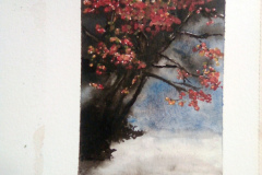 Aquarelle-2022-2023044