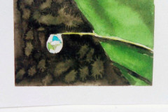 Aquarelle-2022-202305