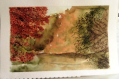 Aquarelle-2022-2023050