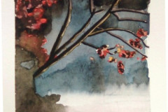 Aquarelle-2022-2023054