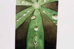 Aquarelle-2022-202306