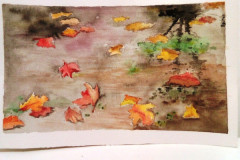 Aquarelle-2022-2023068