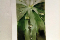 Aquarelle-2022-202307