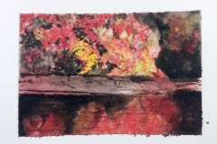 Aquarelle-2022-2023070