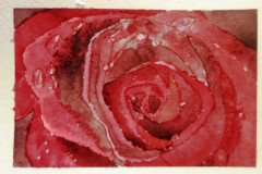 Aquarelle-2022-202308
