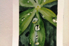 Aquarelle-2022-202310