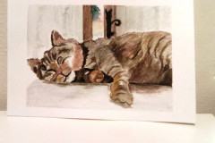 Aquarelle-2022-2023115