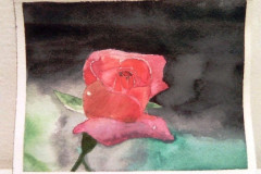 Aquarelle-2022-202312