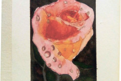 Aquarelle-2022-202314