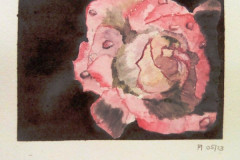 Aquarelle-2022-202316