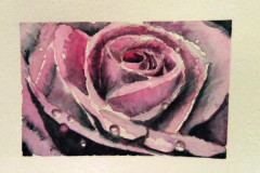 Aquarelle-2022-202317