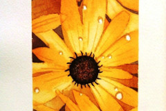 Aquarelle-2022-202319