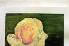 Aquarelle-2022-202320